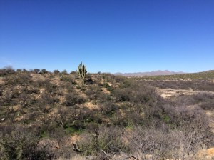 Our hike along the river