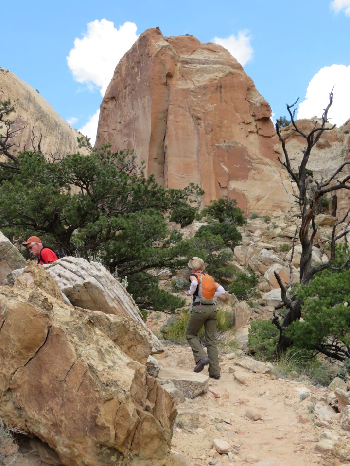 Capital Reef NP trail