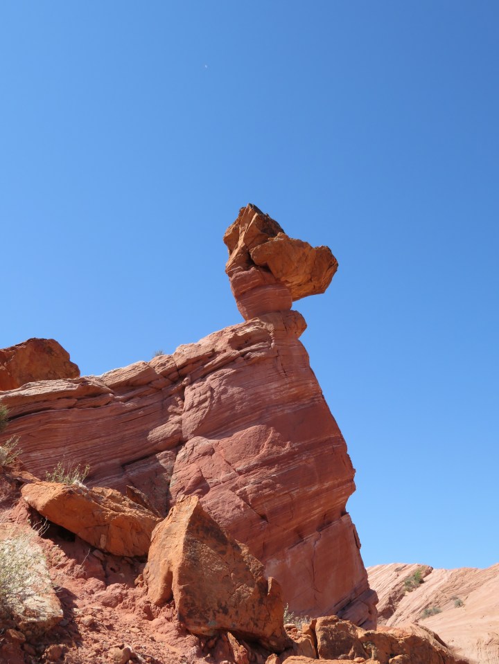 Valley of Fire SP, duck formation
