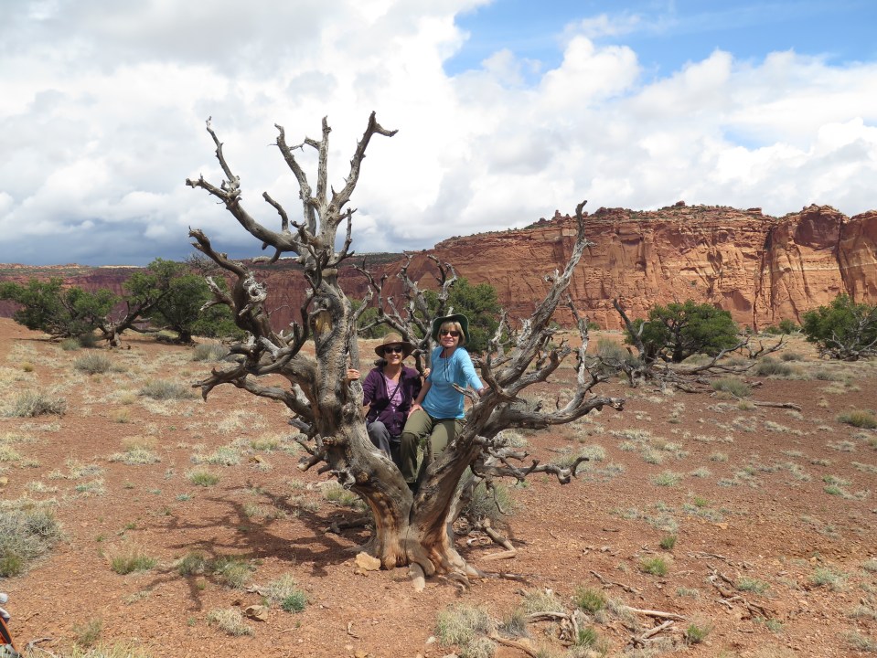 Capital Reef, NP, Chimney Rock Trail