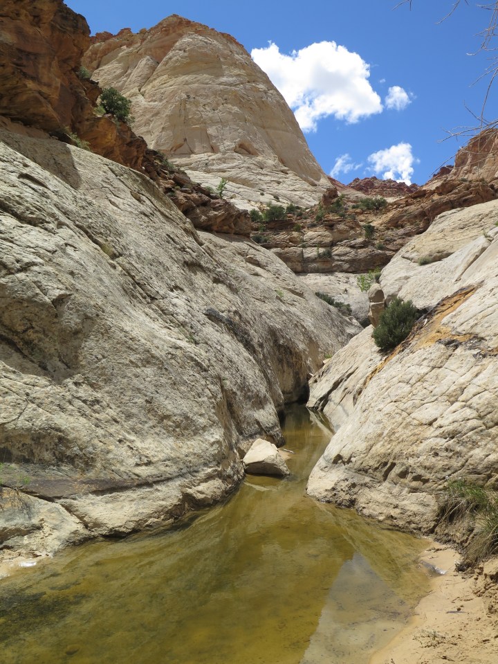 Capital Reef NP, the tanks