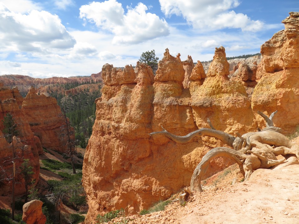 Bryce NP