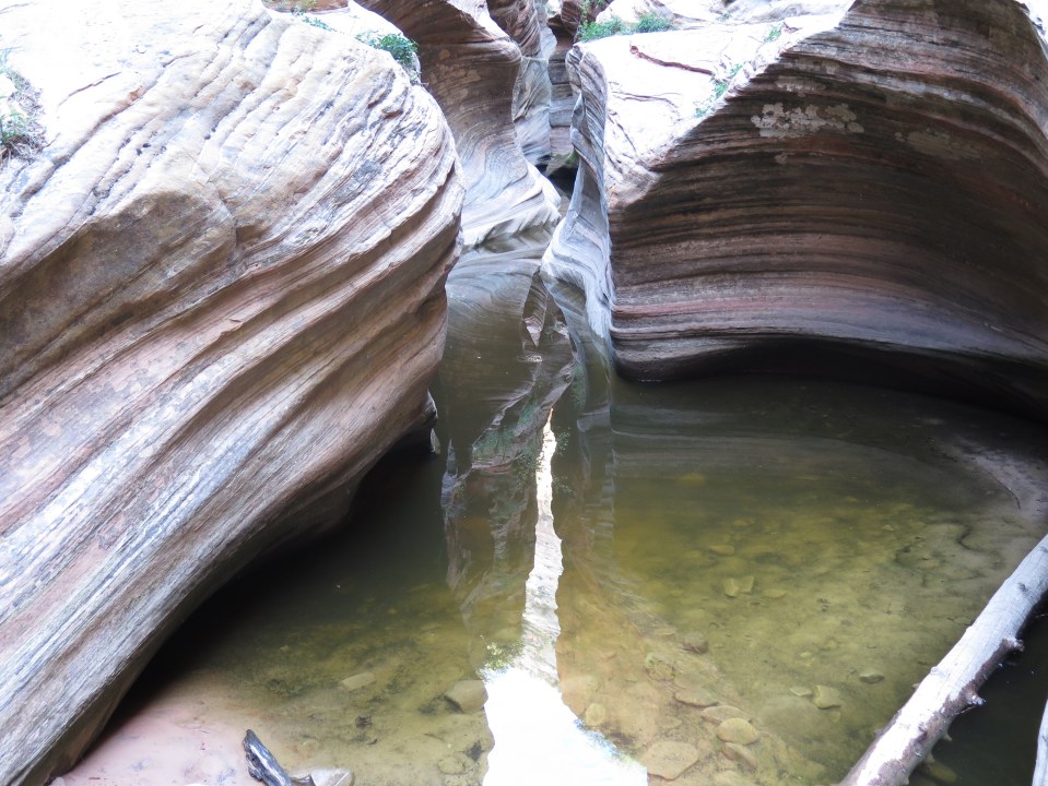 Zion NP, hike to Observation Point