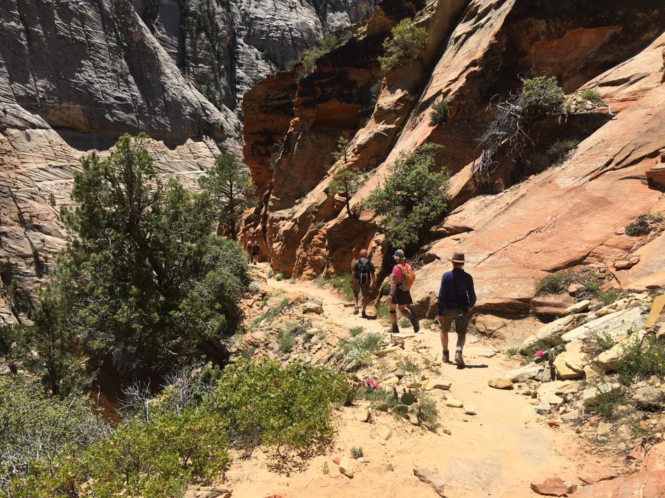 Zion NP, hike down from Observation Point