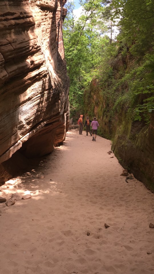 Zion NP, Hidden Canyon
