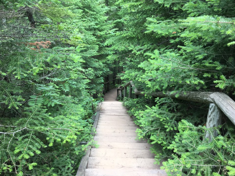 Cascade River State Park, Minnesota