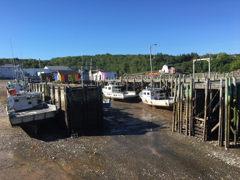 Parkers Cove, Annapolis Royal, Nova Scotia - low tide