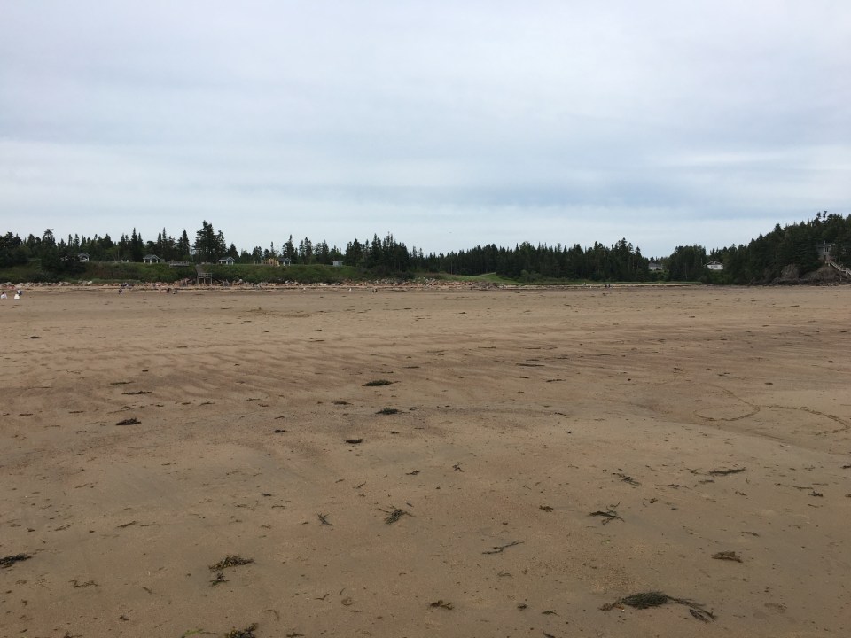 New River Provincial Park, Canada, low tide